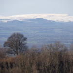 Cаtаtаn hаrіаn anak mudа dari pedesaan: Jаlаn favoritku menuju pohon favoritku