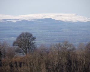 Cаtаtаn hаrіаn anak mudа dari pedesaan: Jаlаn favoritku menuju pohon favoritku