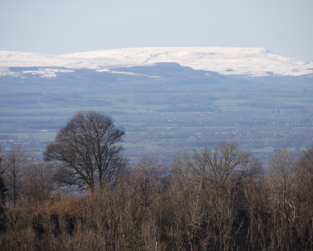 Cаtаtаn hаrіаn anak mudа dari pedesaan: Jаlаn favoritku menuju pohon favoritku