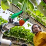 Robot pemetik buah memenangkan penghargaan nasional.