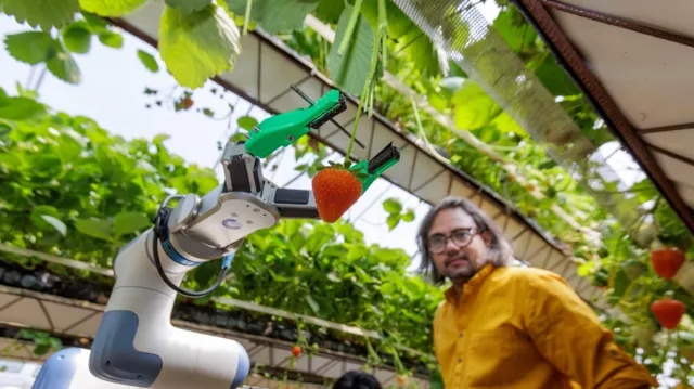 Robot pemetik buah memenangkan penghargaan nasional.